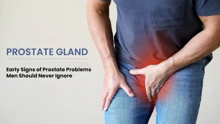 Prostate Health Guide